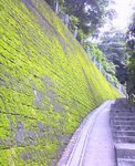 20060617_ct.jpg