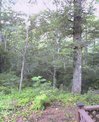 20060814_R1.jpg