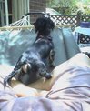 20060814_R4.jpg