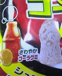 20061101_gumi.jpg