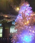 20061213_T20c[.jpg