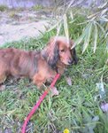 20070211_[.jpg