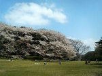 20070408_m01.jpg