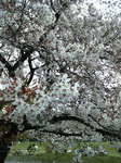 20070408_m02.jpg