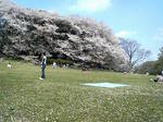 20070408_m05.jpg