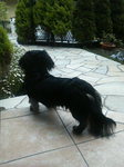 20070507_RR.jpg
