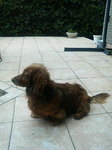 20070507_[.jpg