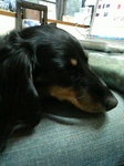 20071118_COCO.jpg