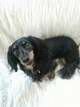 20071118_COCOQ.jpg