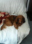 20071118_MU.jpg