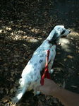 20071118_VIVI.jpg