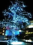 20071121_.jpg