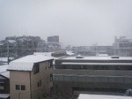 20080203_.jpg