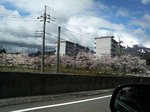 20080419_.jpg