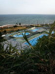 20080813_qsv[02.jpg