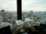 20081025_マンダリン01.jpg