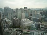 20081025_マンダリン02.jpg