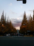 20081206__{Ǖ01.jpg