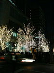20081223_JCgAbv.jpg