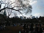 20090404_Vh䉑03.jpg