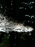 20090404_l{02.jpg