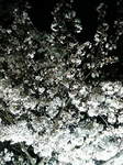20090404_l{03.jpg