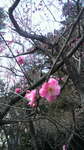 20100123__Ђ̔~.jpg
