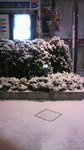 20100201_.jpg