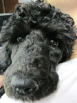 20100616_[H.jpg