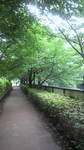 20100707_ڍ쉈.jpg