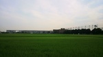 20100710_zJi02.jpg