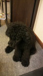20100724_O[tB[.jpg