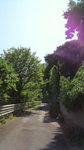 20100825_q̎R.jpg