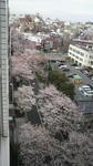 20110408_JH.jpg