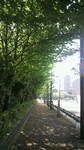 20110424_V΂̓.jpg