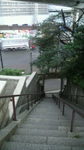 20110805_池尻氷川神社_01.jpg