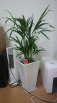 20111029_AJV.jpg