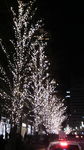 20111223_ۂ̓C~l[V.jpg