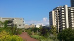 20120805_iC2.jpg