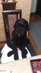 20120921_O[tB.jpg