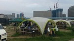 20130804_WildMagicLF01.jpg