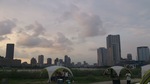 20130804_WildMagicLF03.jpg