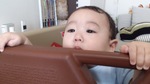 20130816_65Z`[g̋l.jpg