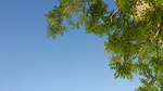 20130828_crisscross01.jpg