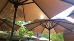 20130828_crisscross02.jpg