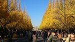 20131201_ǍՂ01.jpg