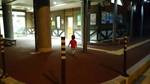 20140824_̉wRk.jpg