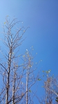 20141024091452704.jpg
