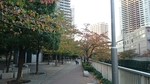 20141110011645832.jpg
