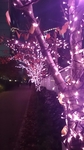 20141125005415061.jpg